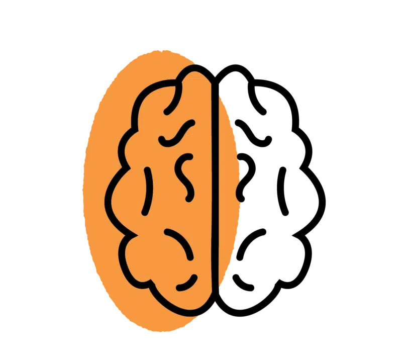 Icon of brain with an orange oval overlaid