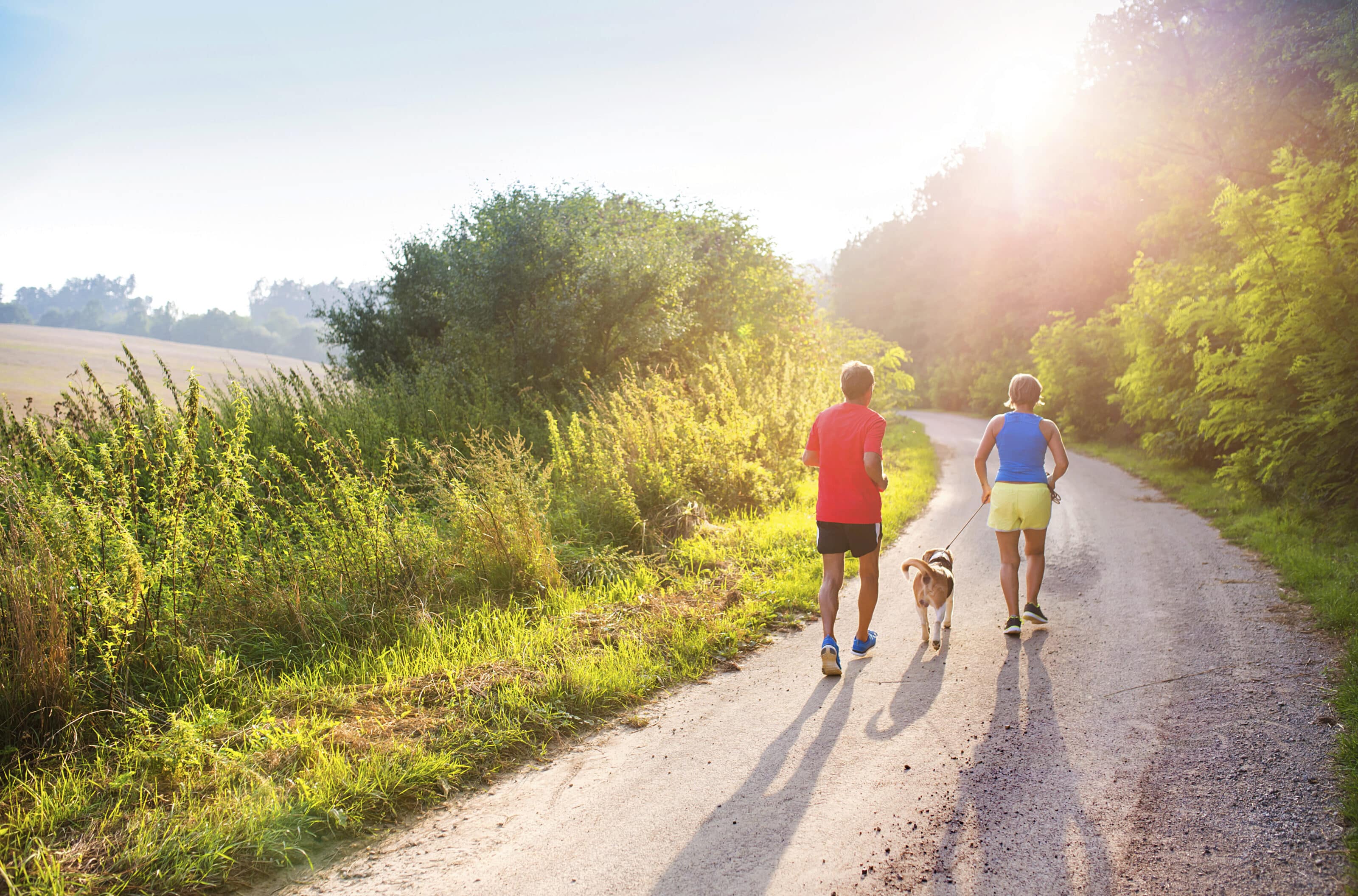 Older couple, walking actively along a country road towards a beautiful sunrise