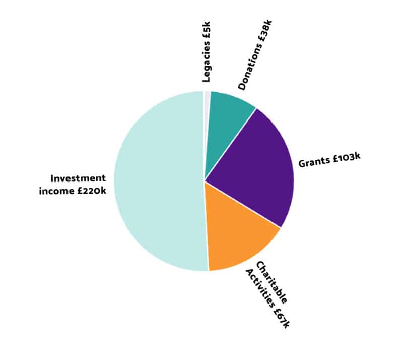 Pie chart showing breakdown of funding sources