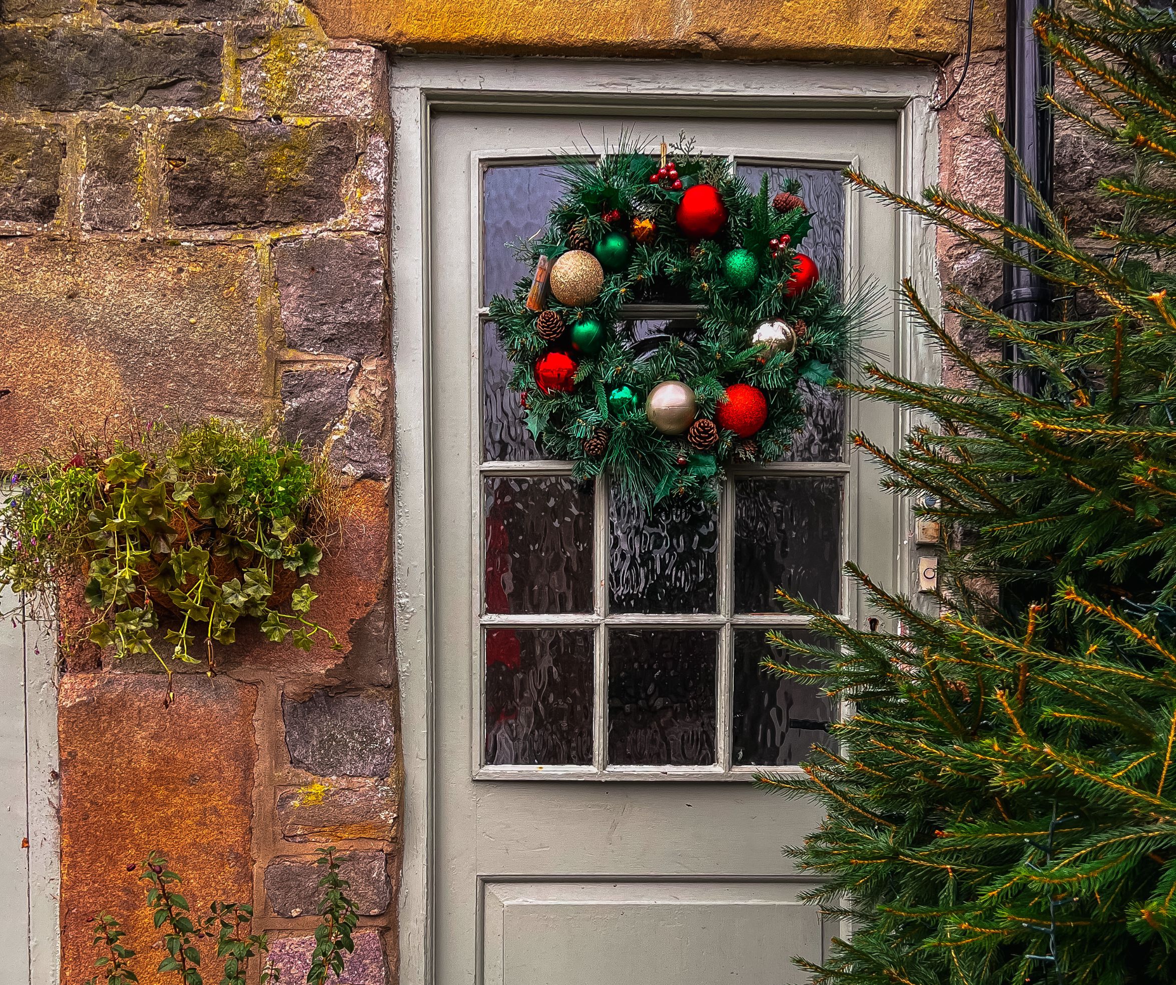 A Christmas wreath hangs on a green front door. There is a Christmas tree in the front garden